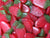 Haribo Vegetarian Giant Strawbs - 880g Strawberry Flavoured Gummy Candy